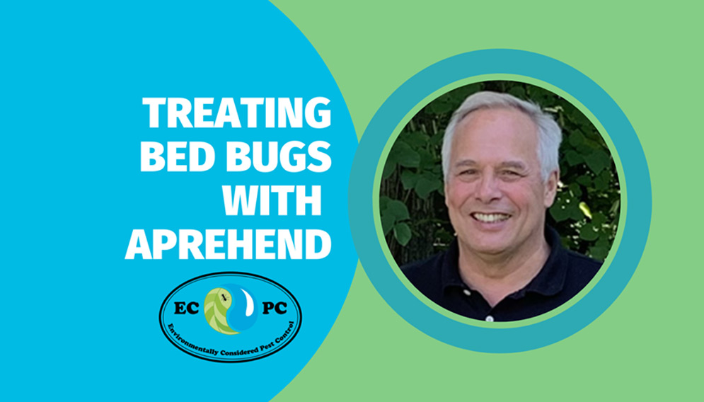 Aprehend treatment for Bed Bugs